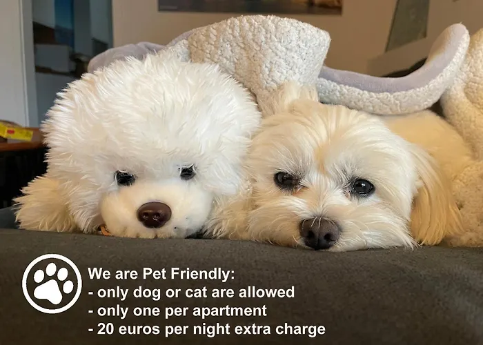 Monika 1&4 Apartment Punat