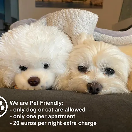 Monika 1&4 דירה פונאנט